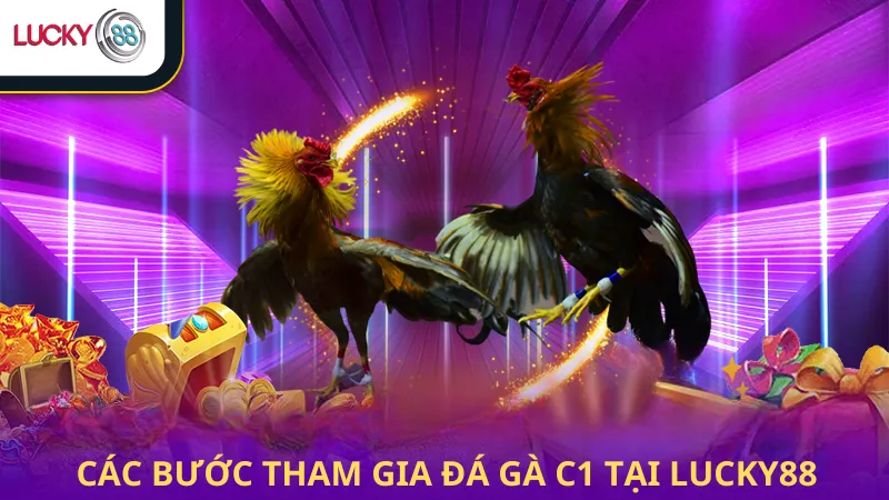 Các Bước Tham Gia Đá Gà C1 Lucky88