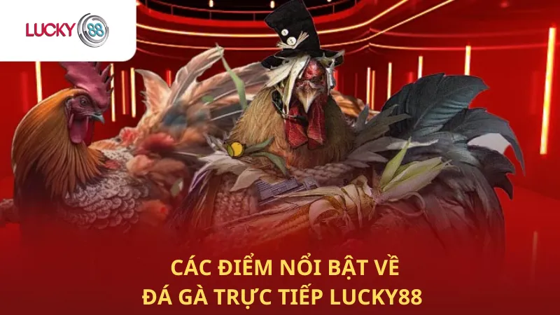 Các Điểm Nổi Bật Về Đá Gà Trực Tiếp Lucky88