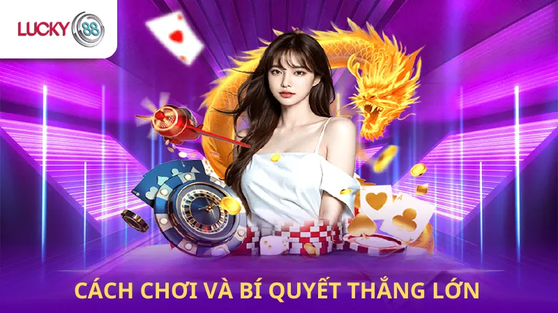 Cách Chơi Rồng Hổ Online Lucky88
