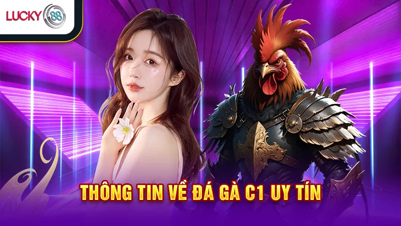 Đá gà C1 Lucky88 Uy Tín