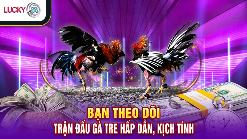 Đá Gà Trực Tiếp Lucky88