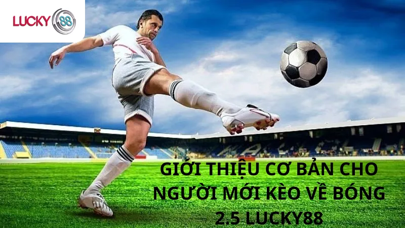 Giới Thiệu Về Bóng 2.5 Lucky88
