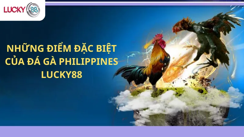 Những Điểm Đặc Biệt Của Đá Gà Philippines Lucky88