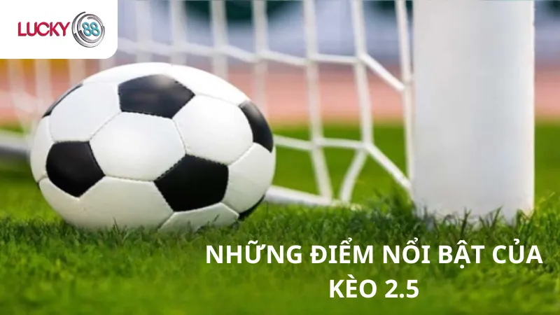 Những Điểm Nổi Bật Của Kèo 2.5