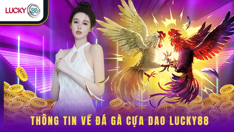 Thông Tin Về Đá Gà Cựa Dao Lucky88