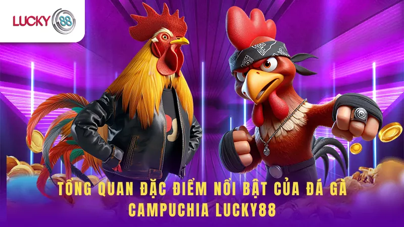 Tổng Quan Đặc Điểm Nổi Bật Của Đá Gà Campuchia Lucky88